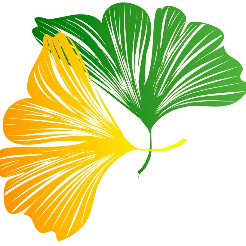 Ginkgo Paysages Sàrl est une société de paysagisme, qui s'occupe de vos aménagements et entretiens extérieurs, ainsi que la création de bassins aquatiques.