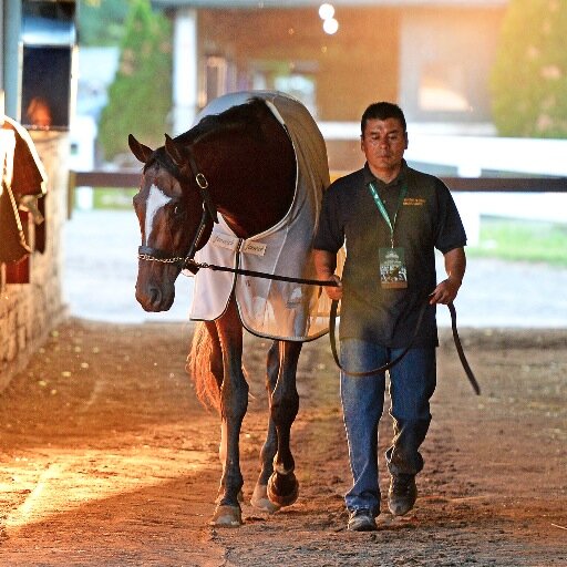 Tonalist's profile picture. Standing @LanesEndFarms. Winner of the 2014 Belmont Stakes 2015 Cigar Mile and 2014 & 2015 Jockey Club Gold Cup. Account run by @clementstable.