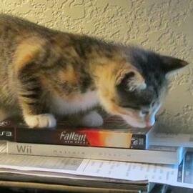 ElisabethGee2's profile picture. 