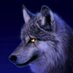 Steven Graham (@darkstarwolf50) Twitter profile photo