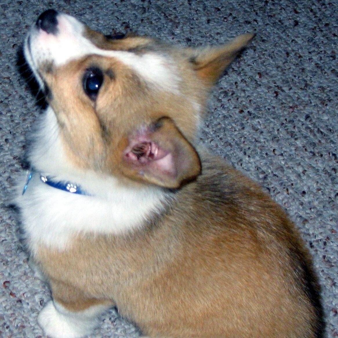 JaneFawn's profile picture. A Feed for all the exciting designs created in Zazzle