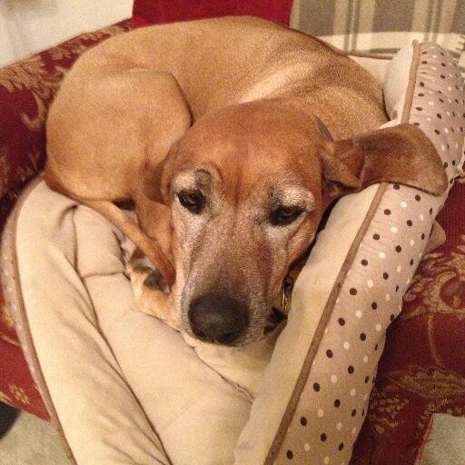 kgrant6's profile picture. 