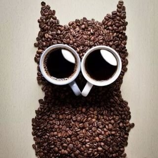 NIEzLah's profile picture. 