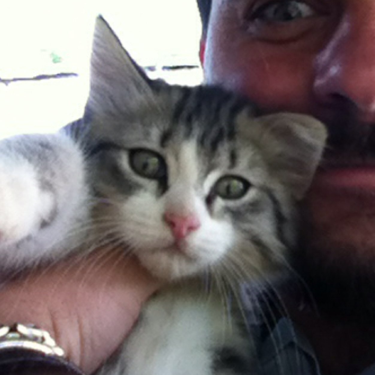 ermenealdo's profile picture. geometricchio