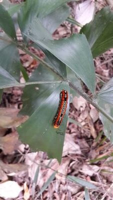 JoachimTayok's profile picture. 