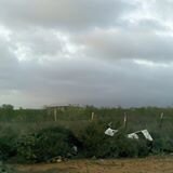 francicosegundo's profile picture. 