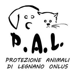 cani e gatti in cerca di famiglia in provincia di Milano
tel. 0331.466665 (segr. tel.)
