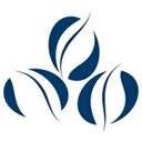 Wabash Capital Profile