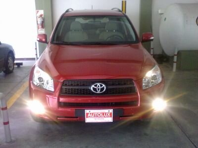 AmorelliPedro's profile picture. 