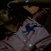 Wesleylopez (@71ec5ec6da17406) Twitter profile photo Wesleylopez (@71ec5ec6da17406) Twitter profile photo