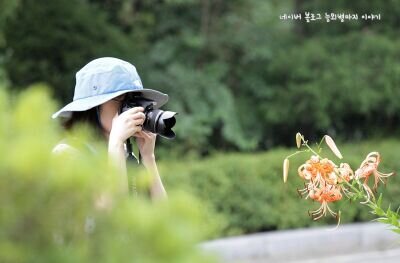 2011 네이버 파워블로그 (요리)