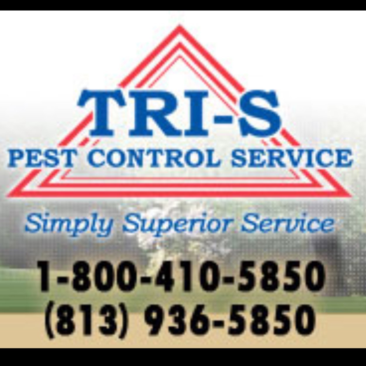 Tri-S Pest Control has provided professional services in Tampa and the entire Tampa Bay Area with pest control and lawn care for 30 years. 813-936-5850