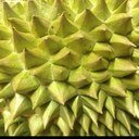 amirkomputer's profile picture. 