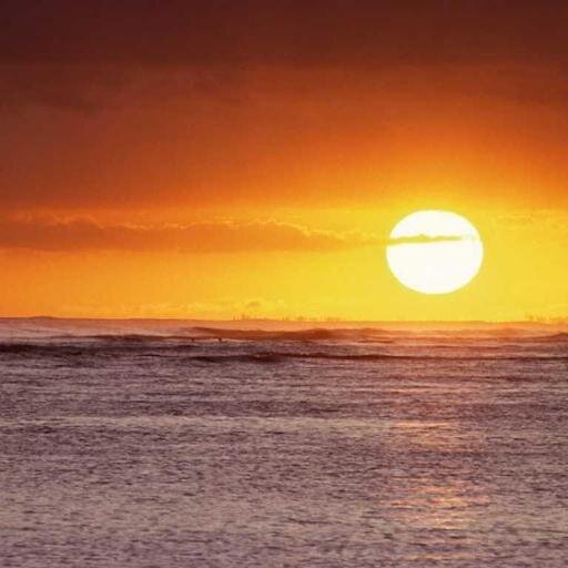 lroig73's profile picture. 