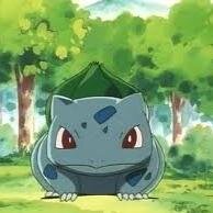 I'm Bulbusaur Grass type Pokemon small but nervous and I'm strong I fight with my trainer Ash