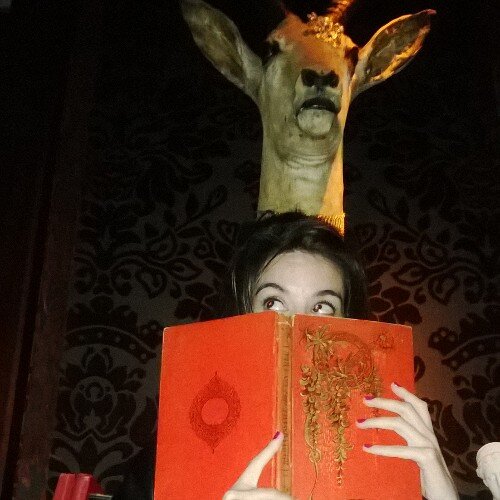 PaulitisL's profile picture. Q t importa