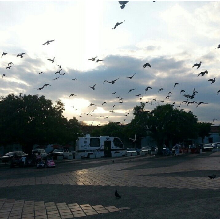 Red de información de la ciudad de Valledupar sin contrastes políticos.