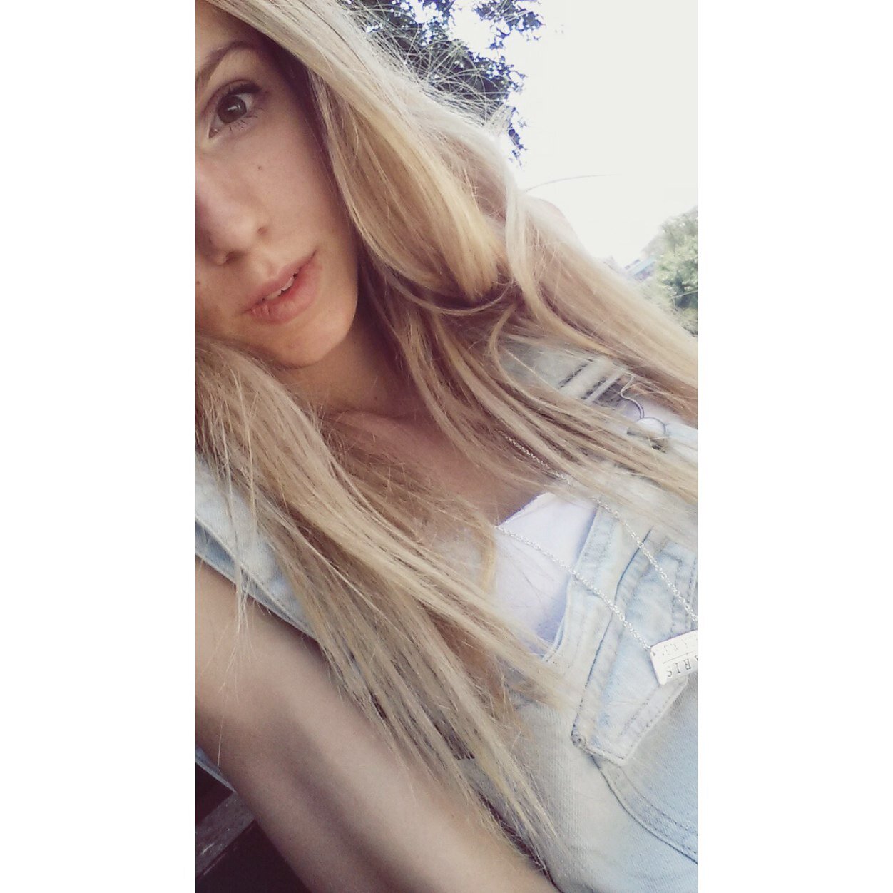 SILVIA VI VIVIT