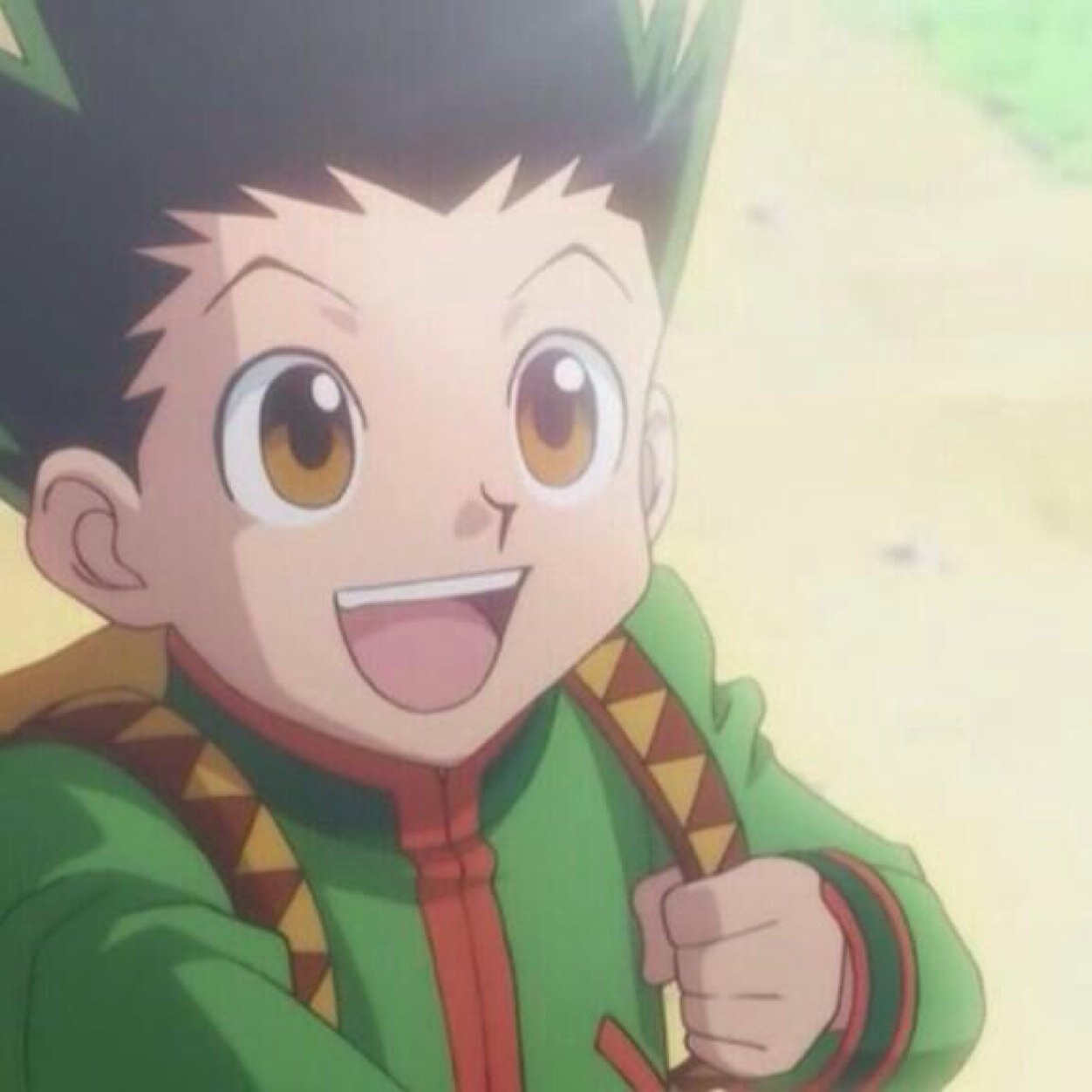 Hi, I'm Gon! I just sorta know. Success or failure; I will bet on the least possibility.
[ #hxhrp ] [ #hunterxhunter ] [ #roleplay ]