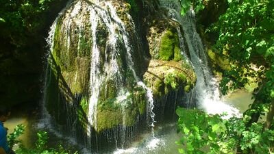 ElredRa's profile picture. 