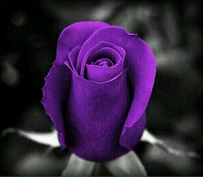 mgiln21's profile picture. 