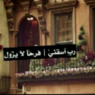 amooshe1's profile picture. I will never be perfect but I will always be unique ؛)♥