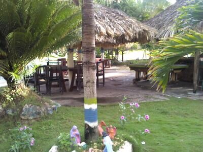 alfredorojas712's profile picture. 