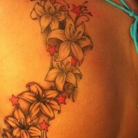 Aida Paul (@aida_paul) 's Twitter Profile