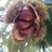 wldrhf's profile image