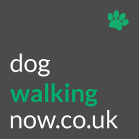 The #1 directory in the UK for Dog Walking jobs! Walkers can create a profile and we post new jobs every day! Need a walker? It's free to post your jobs with us