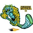 EishockeyFan