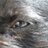 RECvE's profile image