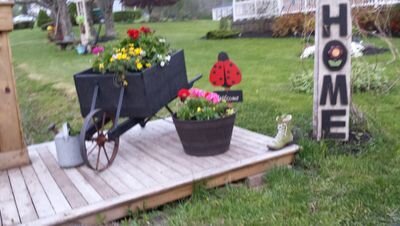 sangster2014's profile picture. 