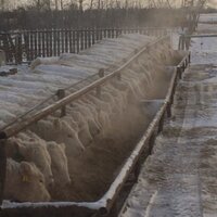 Michael Hunter (@huntercharolais) 's Twitter Profile