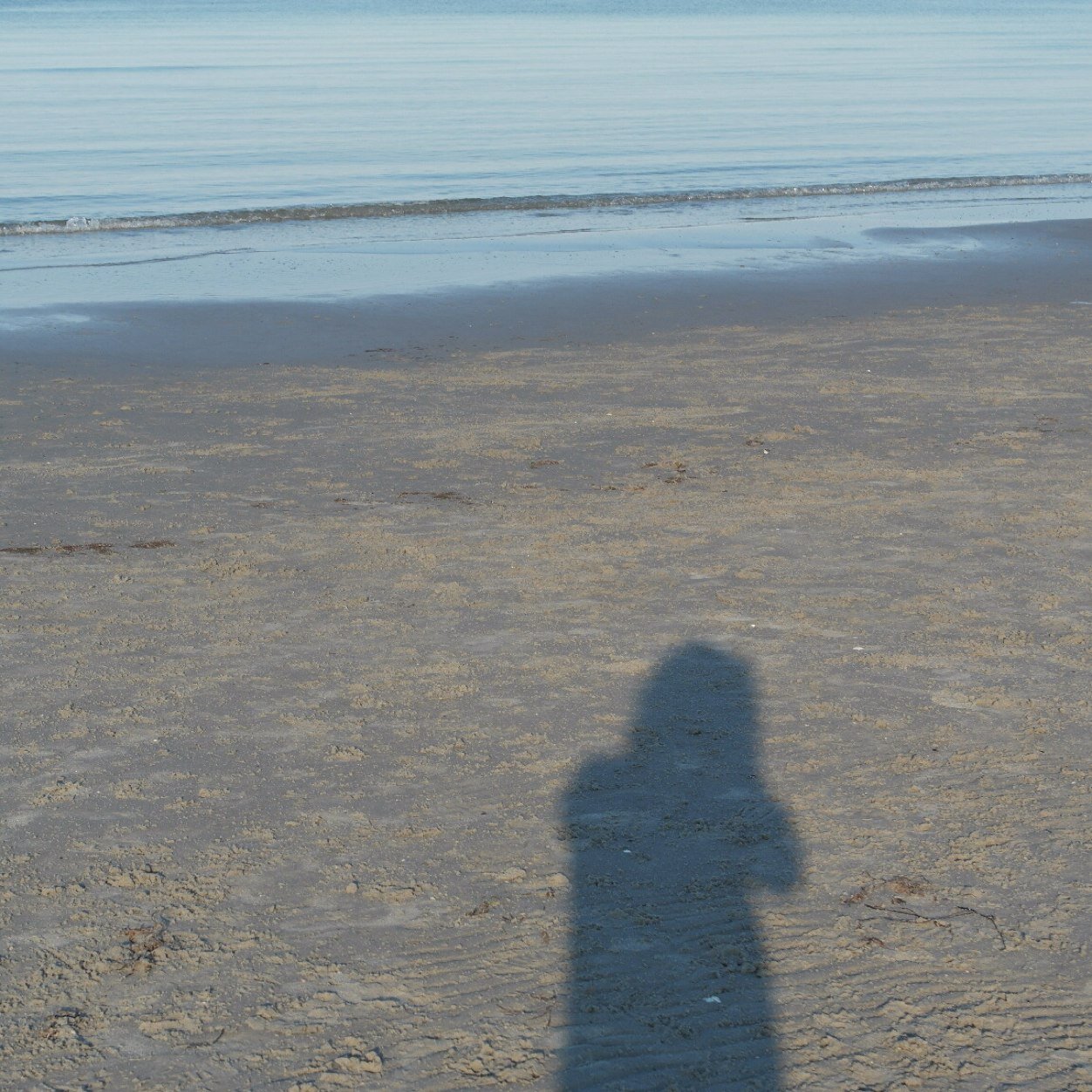 TheHeywasgeht's profile picture. ✌️