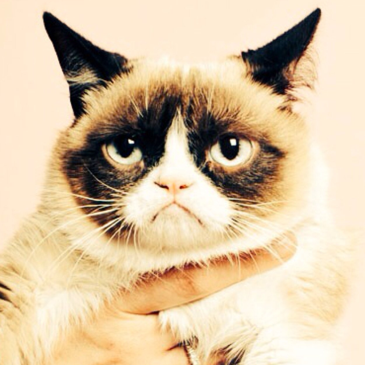 ArticEvyn's profile picture. 