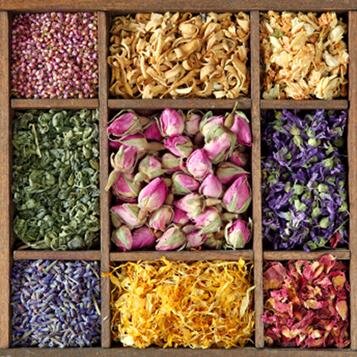 CoffeeEnthused's profile picture. Love Coffee, Avid Tea collector, Love chai, love a great deal, obsessive about creating great food, Love all kinds of music. Celebrating ICT Drink.