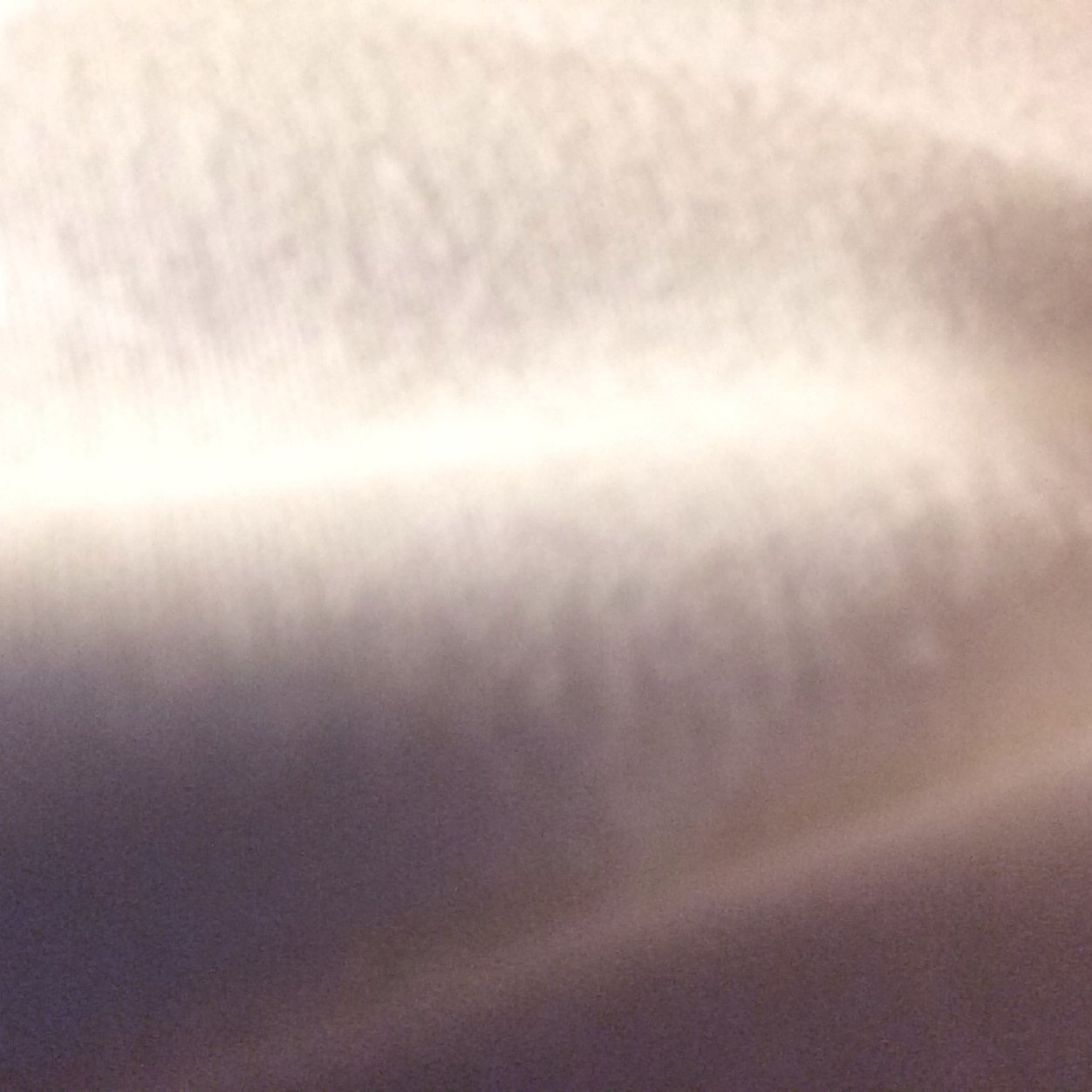 bombarules's profile picture. 