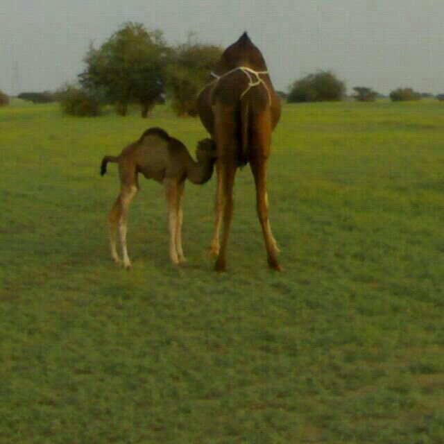‏‏الجنوب