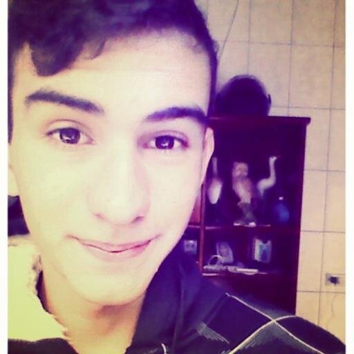 Sou Divo 17 anos
 Lovatic e Selenator