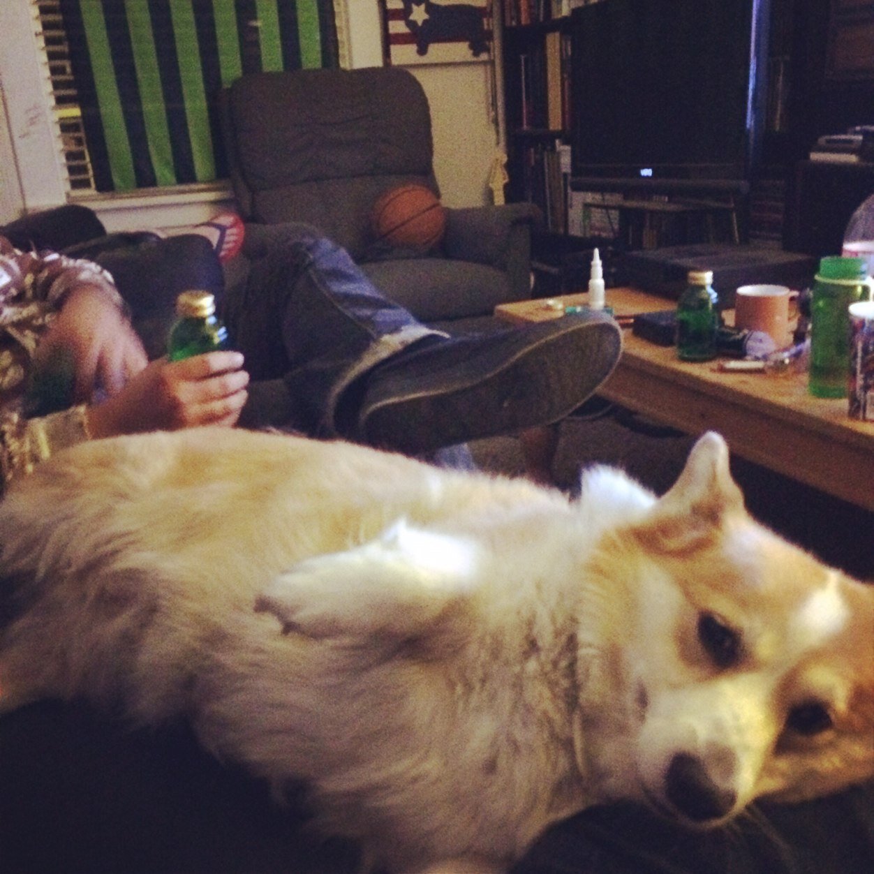 hactionHMD's profile picture. tim/tebow