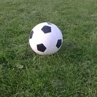 richard kneller (@rakneller) 's Twitter Profile