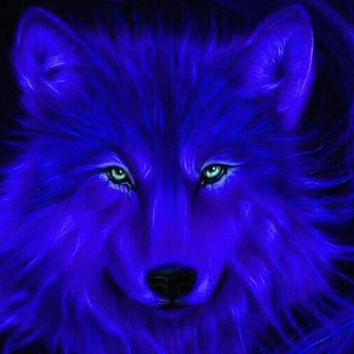 TonyDudley5's profile picture. First Responder for Welsh Ambulance Service. Views+ Comments are my own