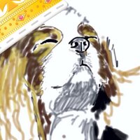 Claudia (@cmaris2) 's Twitter Profile