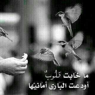 ‏‏‏‏‏كل الأشياء ؛ مصيرها ذكريات ، فَـ أجعلوها أجمل  ♡