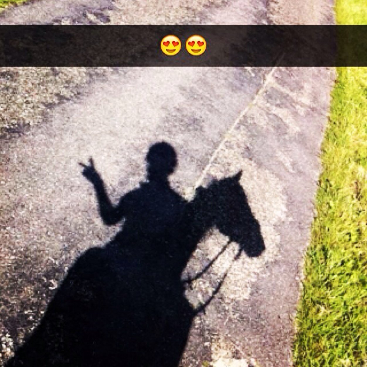 marjolijn_love1's profile picture. gek geboren gek gebleven gek op baily mijn hele leven!!!! gek geboren gek gebleven gek op suske mijn hele leven!!!!