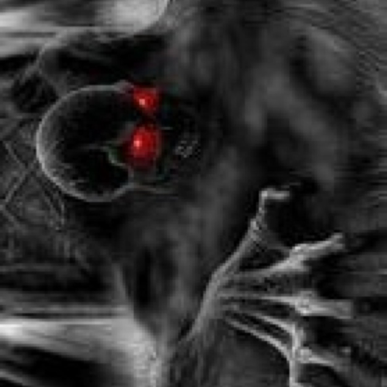 SeqaDense's profile picture. 