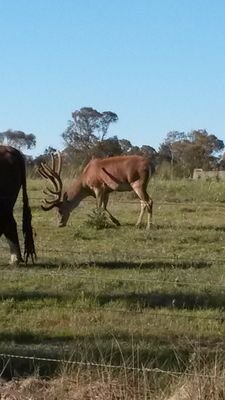 kitshipra1971's profile picture. 