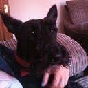 Ashley Wright - @noseyash - Twitter