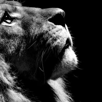 pprhangrchckr's profile picture. If you're hangin paper, stealing from normal people or taking advantage of kind people with no voice I WILL out YOU